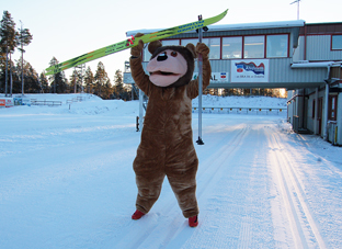 Skidbjörnen Älvis på skidstadion i Älvdalen.